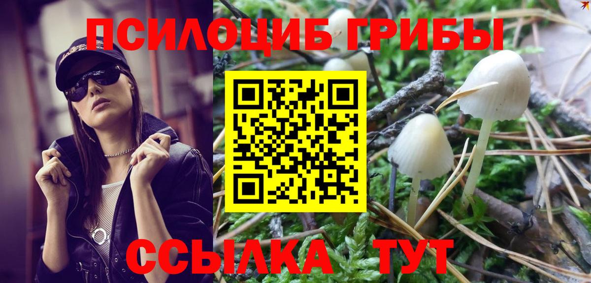 Златоуст  Псилоцибиновые грибы Psilocybine cubensis  Вход с VPN 